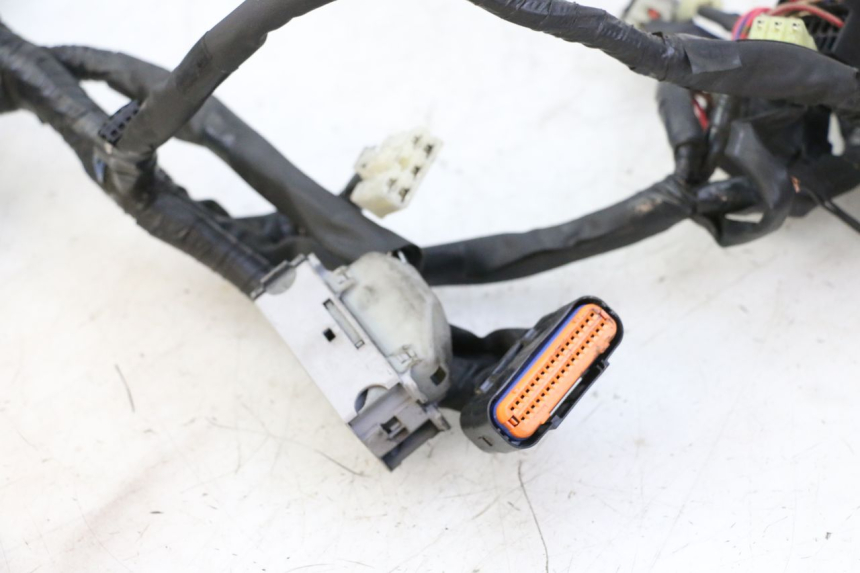 photo de WIRE HARNESS YAMAHA XJ6 ABS 600 (2008 - 2016)