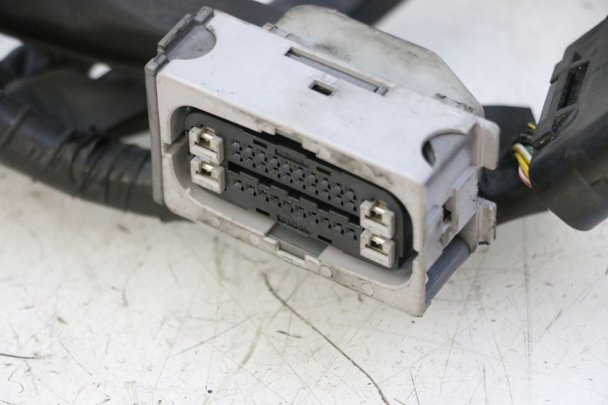photo de WIRE HARNESS YAMAHA XJ6 ABS 600 (2008 - 2016)