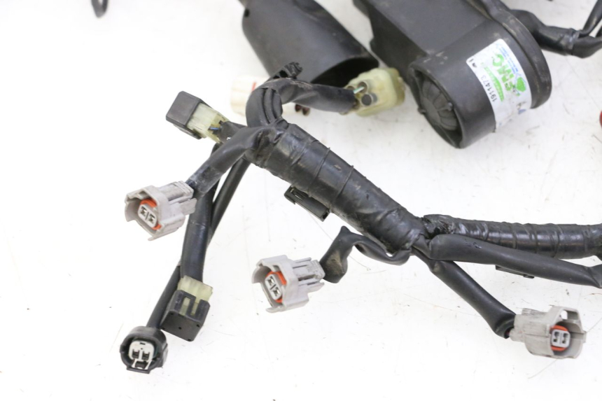 photo de WIRE HARNESS YAMAHA XJ6 ABS 600 (2008 - 2016)