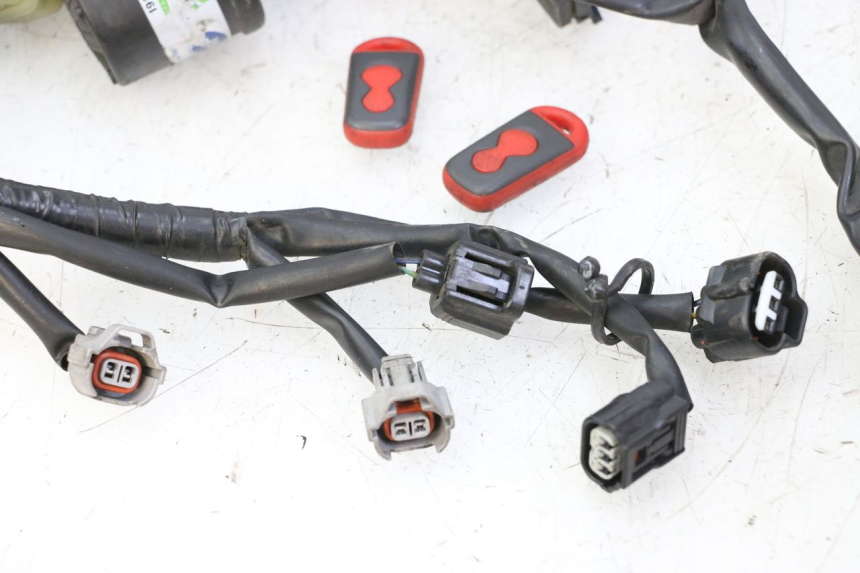 photo de WIRE HARNESS YAMAHA XJ6 ABS 600 (2008 - 2016)