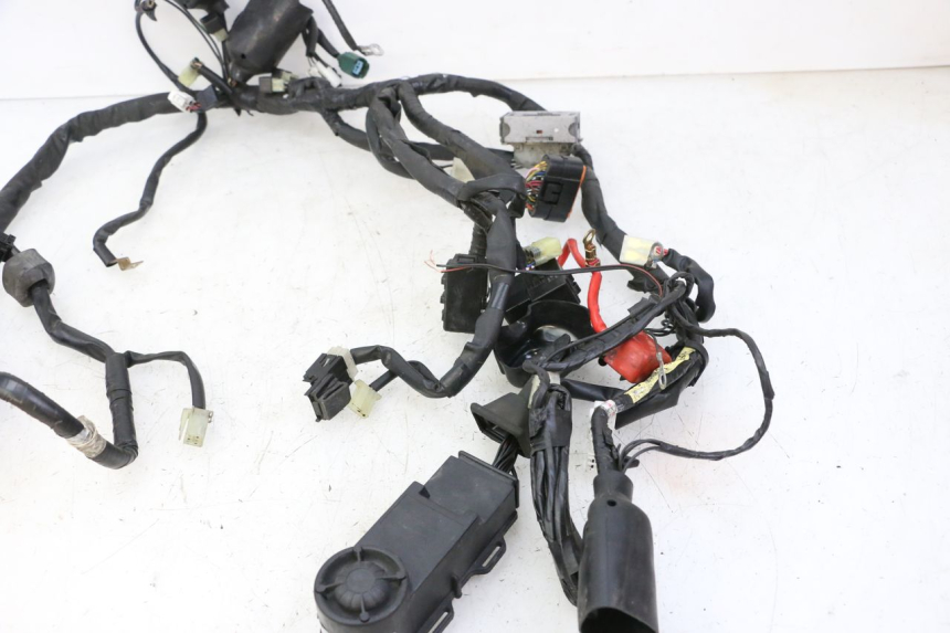 photo de WIRE HARNESS YAMAHA XJ6 ABS 600 (2008 - 2016)