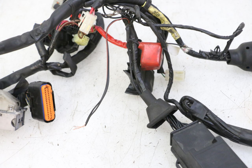 photo de WIRE HARNESS YAMAHA XJ6 ABS 600 (2008 - 2016)
