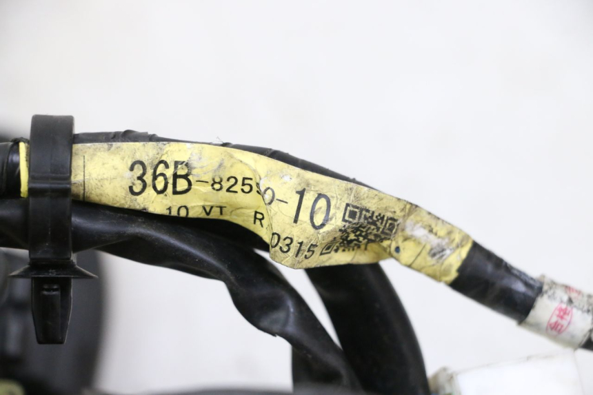 photo de WIRE HARNESS YAMAHA XJ6 ABS 600 (2008 - 2016)