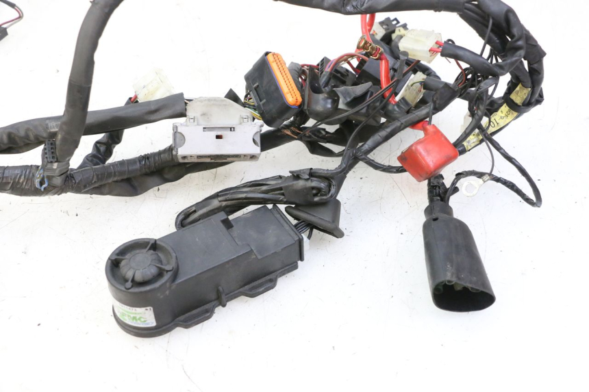 photo de WIRE HARNESS YAMAHA XJ6 ABS 600 (2008 - 2016)