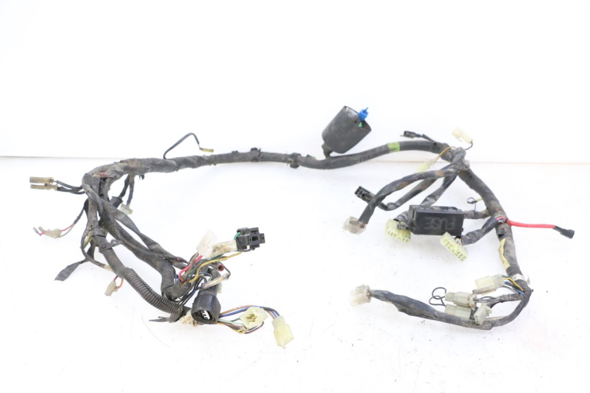 photo de WIRE HARNESS YAMAHA XJN DIVERSION 600 (2000 - 2003)