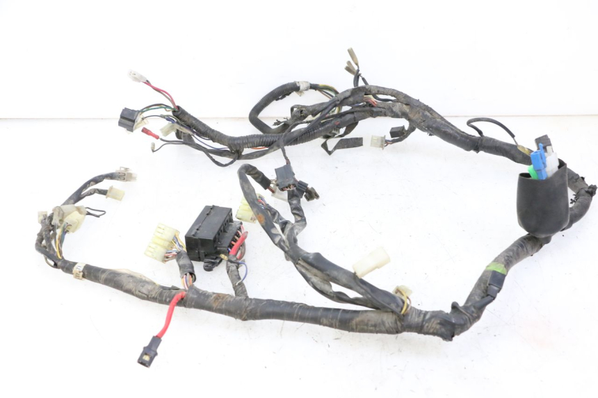 photo de WIRE HARNESS YAMAHA XJN DIVERSION 600 (2000 - 2003)