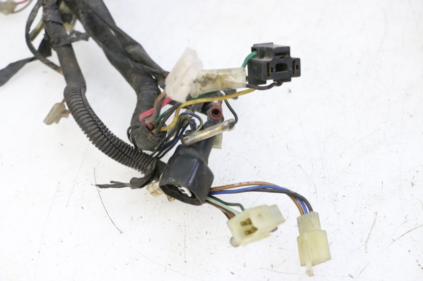 photo de WIRE HARNESS YAMAHA XJN DIVERSION 600 (2000 - 2003)