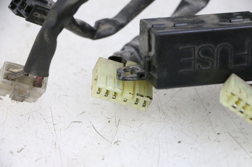 photo de WIRE HARNESS YAMAHA XJN DIVERSION 600 (2000 - 2003)