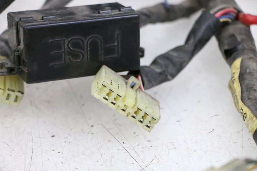 photo de WIRE HARNESS YAMAHA XJN DIVERSION 600 (2000 - 2003)