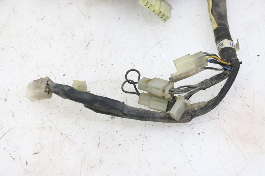 photo de WIRE HARNESS YAMAHA XJN DIVERSION 600 (2000 - 2003)