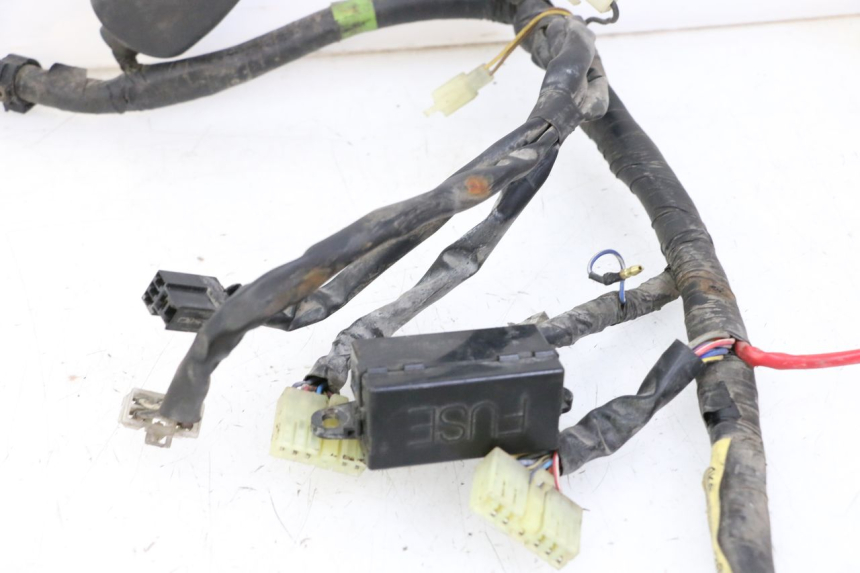 photo de WIRE HARNESS YAMAHA XJN DIVERSION 600 (2000 - 2003)