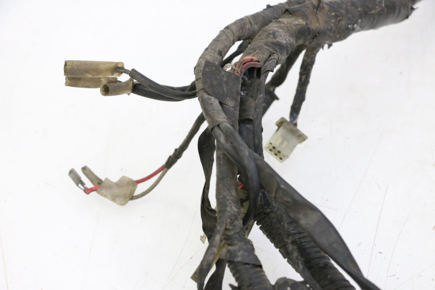 photo de WIRE HARNESS YAMAHA XJN DIVERSION 600 (2000 - 2003)