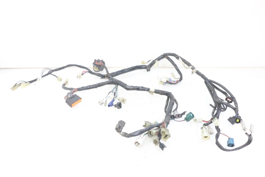 photo de WIRING HARNESS YAMAHA XT X 660 (2004 - 2016)