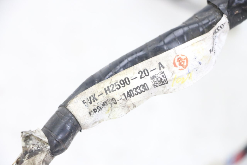 photo de WIRING HARNESS YAMAHA XT X 660 (2004 - 2016)