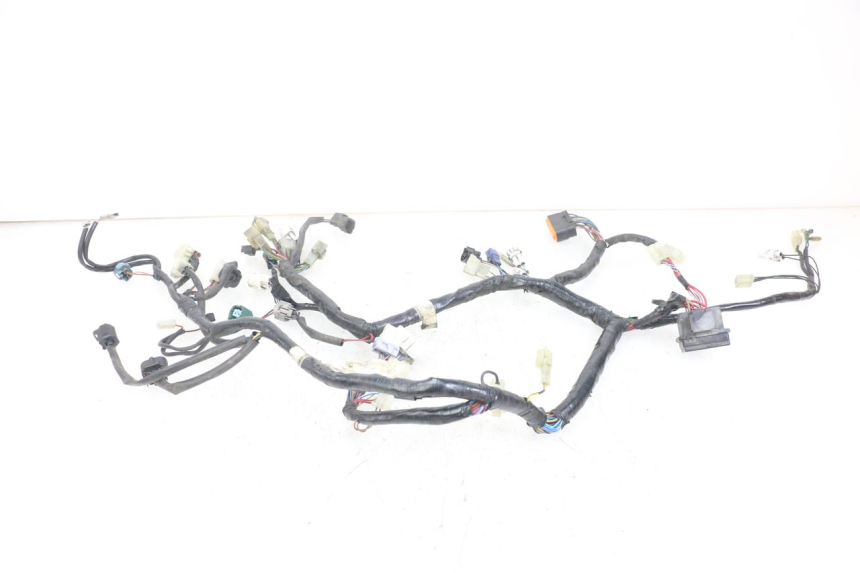 photo de WIRING HARNESS YAMAHA XT X 660 (2004 - 2016)