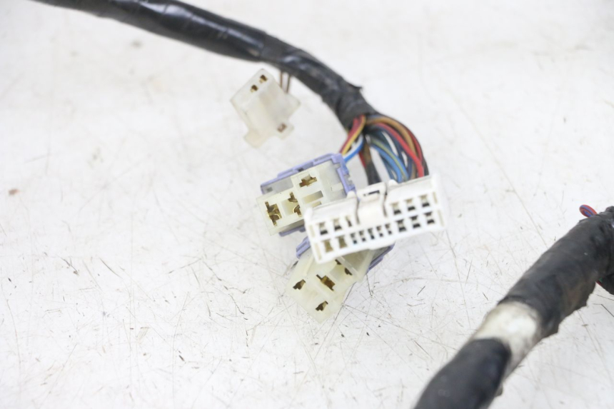 photo de WIRING HARNESS YAMAHA XT X 660 (2004 - 2016)