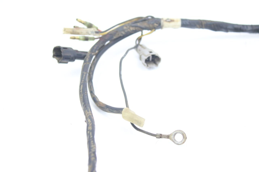 photo de WIRING HARNESS YAMAHA BLASTER 200 (1987 - 2002)