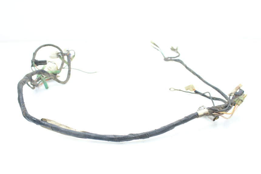 photo de WIRING HARNESS YAMAHA BLASTER 200 (1987 - 2002)