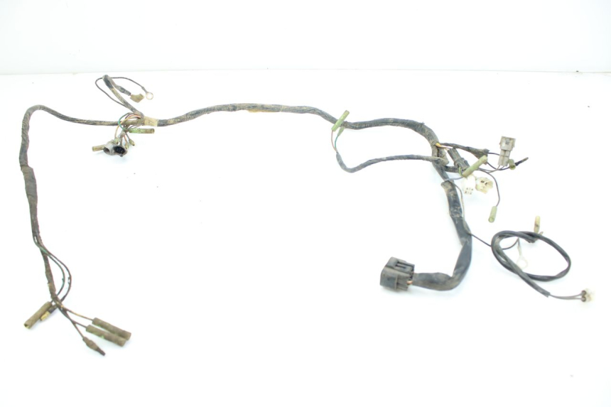 photo de WIRING HARNESS YAMAHA BLASTER 200 (2003 - 2007)