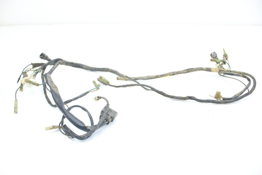photo de WIRING HARNESS YAMAHA BLASTER 200 (2003 - 2007)