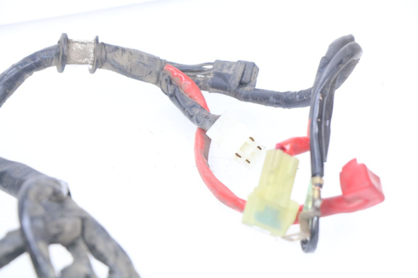 photo de WIRING HARNESS YAMAHA D'ELIGHT DELIGHT 115 (2013 - 2017)