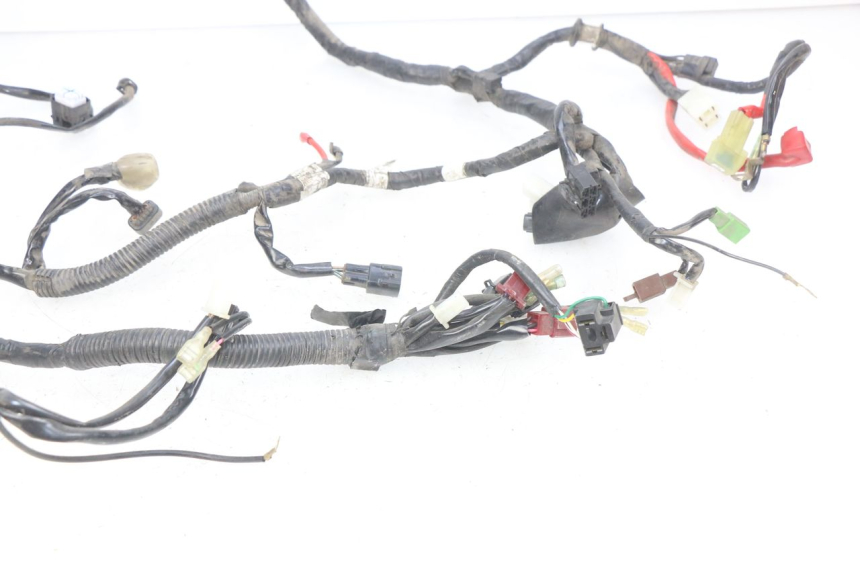 photo de WIRING HARNESS YAMAHA D'ELIGHT DELIGHT 115 (2013 - 2017)
