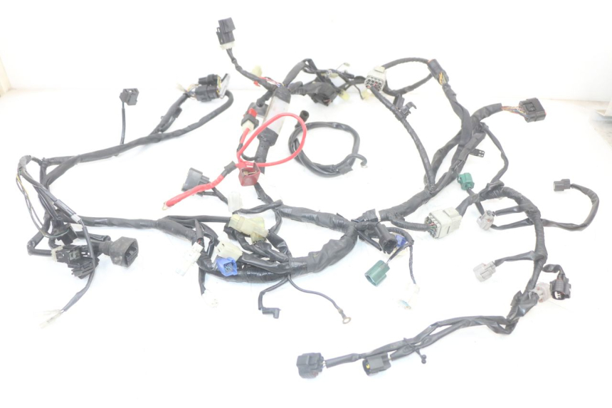 photo de WIRE HARNESS YAMAHA FZ1 FAZER 1000 (2007 - 2009)