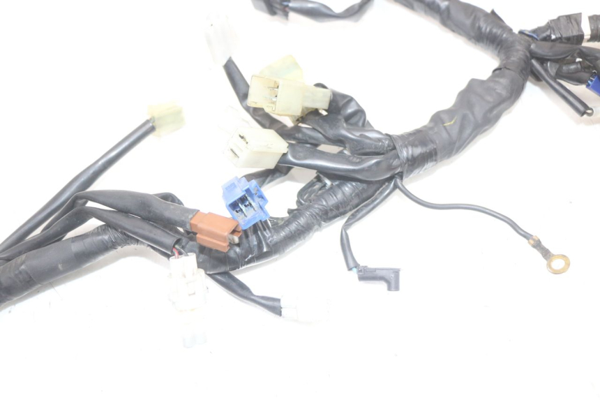 photo de WIRE HARNESS YAMAHA FZ1 FAZER 1000 (2007 - 2009)