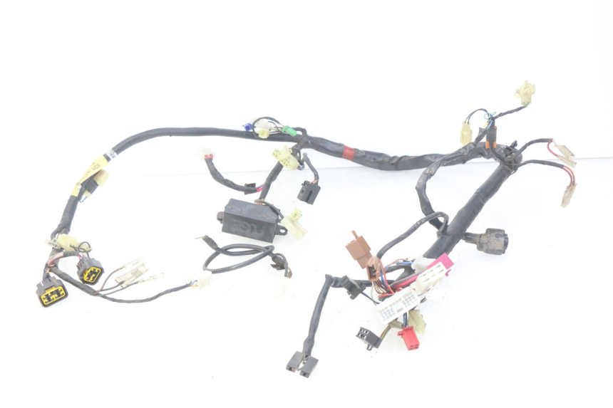 photo de WIRING HARNESS YAMAHA FZS FAZER 600 (1998 - 2001)