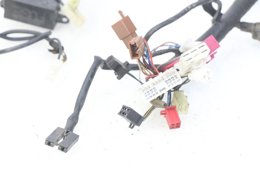 photo de WIRING HARNESS YAMAHA FZS FAZER 600 (1998 - 2001)