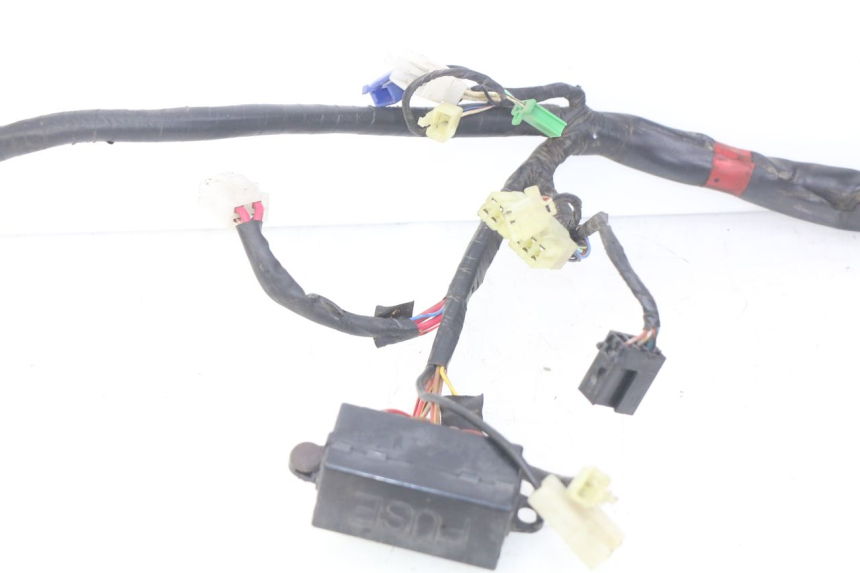 photo de WIRING HARNESS YAMAHA FZS FAZER 600 (1998 - 2001)