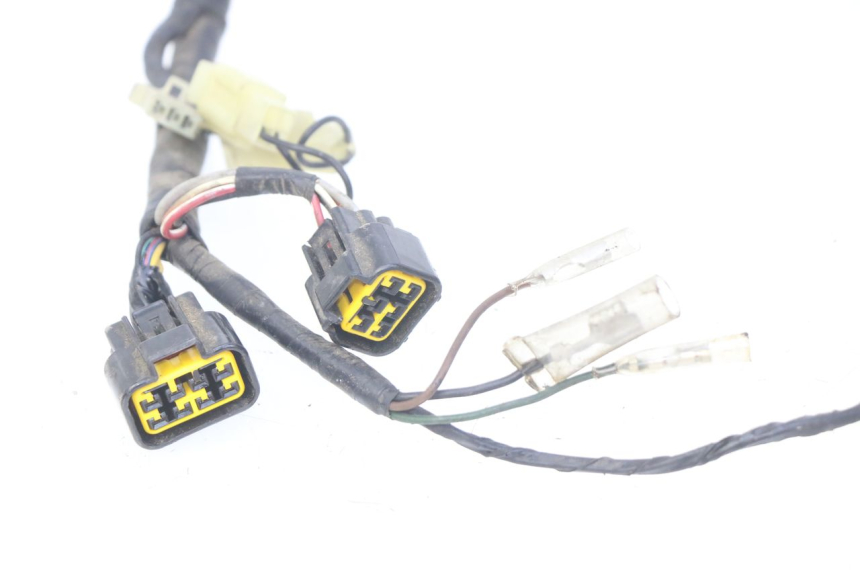 photo de WIRING HARNESS YAMAHA FZS FAZER 600 (1998 - 2001)