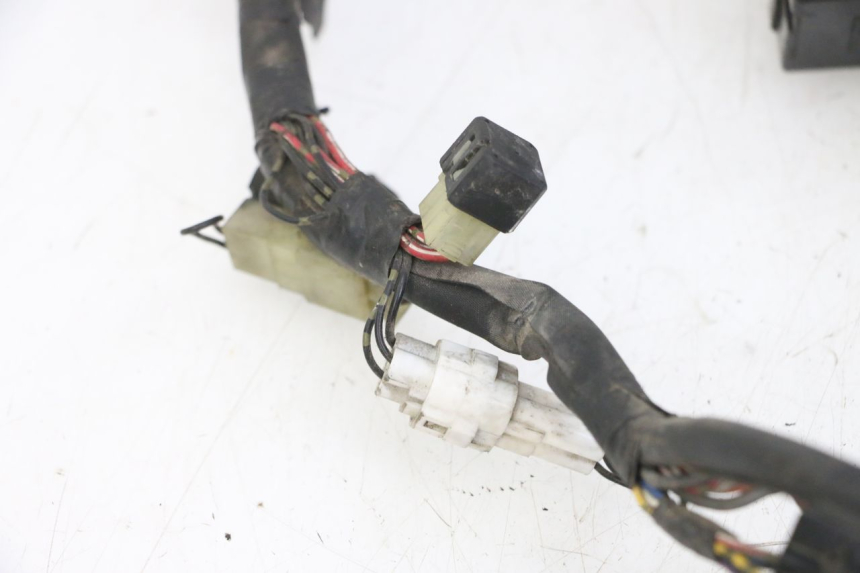 photo de WIRE HARNESS YAMAHA FZS FAZER 600 (2001 - 2003)