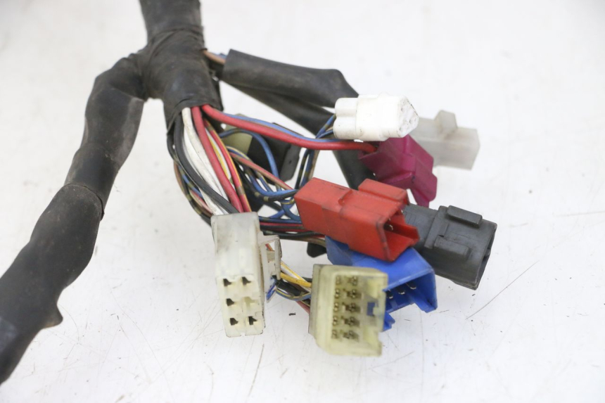photo de WIRE HARNESS YAMAHA FZS FAZER 600 (2001 - 2003)
