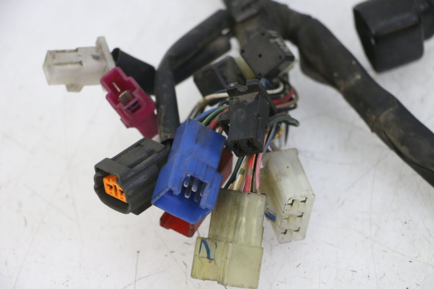photo de WIRE HARNESS YAMAHA FZS FAZER 600 (2001 - 2003)