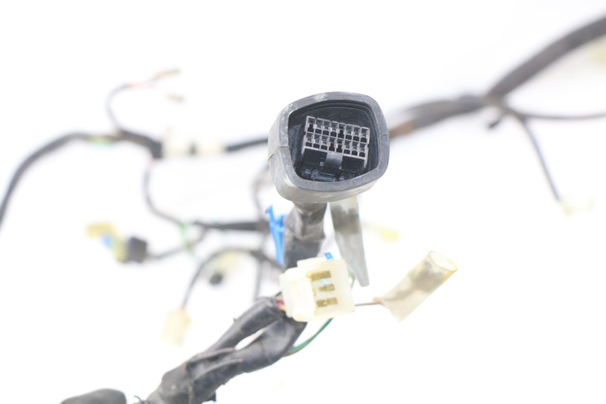 photo de WIRING HARNESS YAMAHA NEO'S 4T 50 (2008 - 2016)