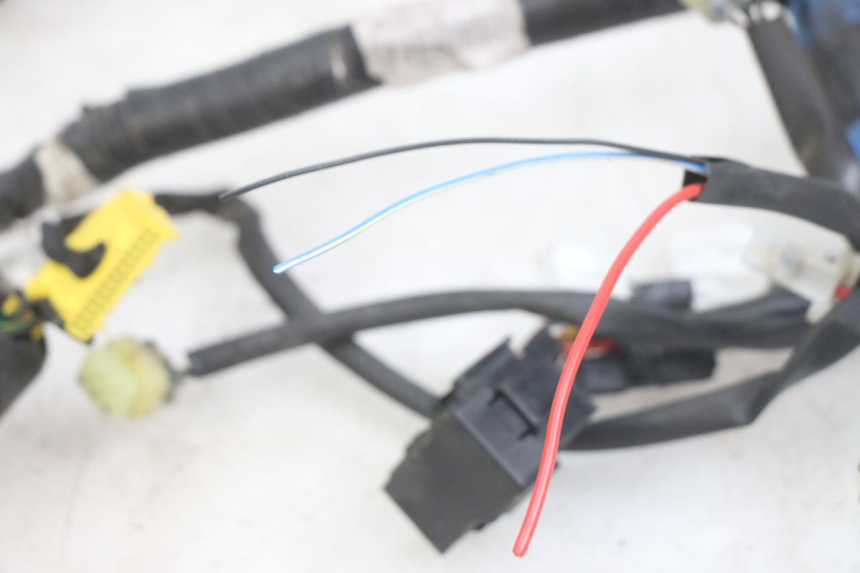 photo de WIRING HARNESS YAMAHA X-MAX XMAX 250 (2006 - 2009)