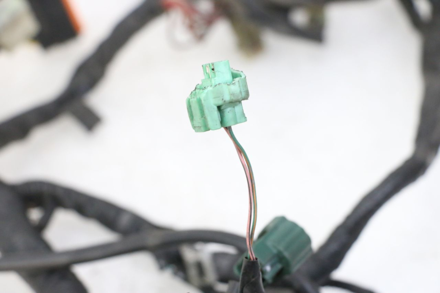 photo de WIRE HARNESS YAMAHA XJ6 600 (2008 - 2016)