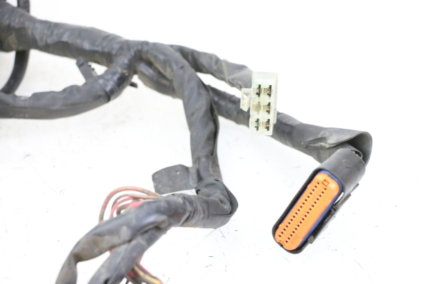 photo de WIRE HARNESS YAMAHA XJ6 600 (2008 - 2016)