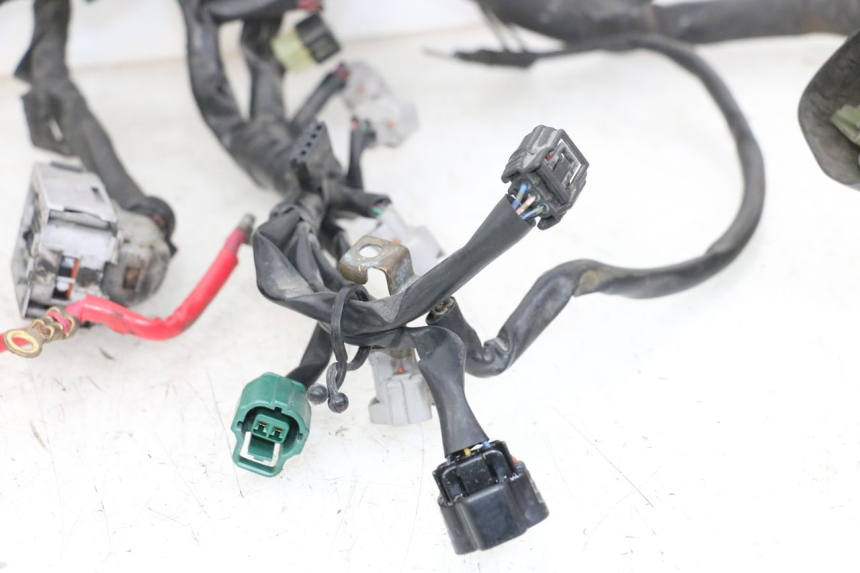 photo de WIRE HARNESS YAMAHA XJ6 ABS 600 (2008 - 2016)