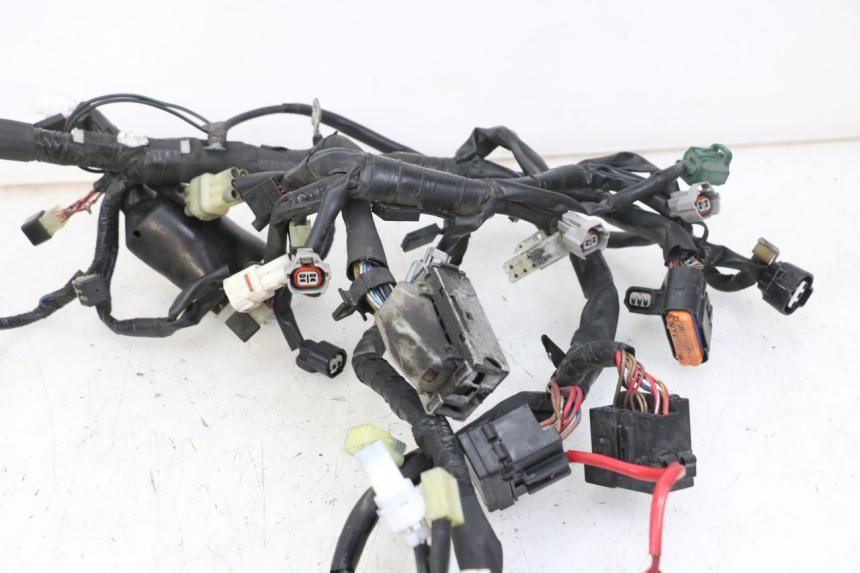 photo de WIRE HARNESS YAMAHA XJ6 ABS 600 (2008 - 2016)