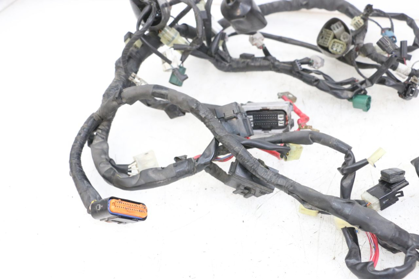 photo de WIRE HARNESS YAMAHA XJ6 ABS 600 (2008 - 2016)