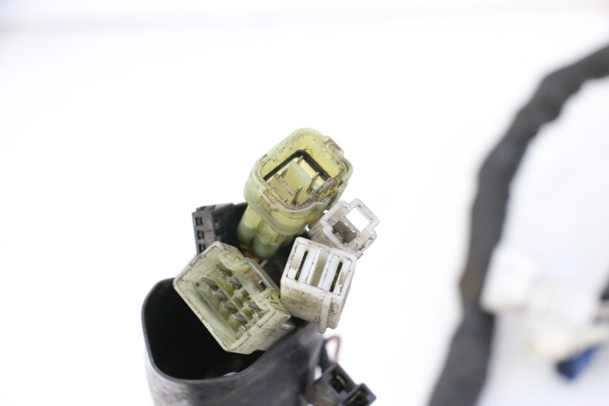photo de WIRE HARNESS YAMAHA XJ6 ABS 600 (2008 - 2016)