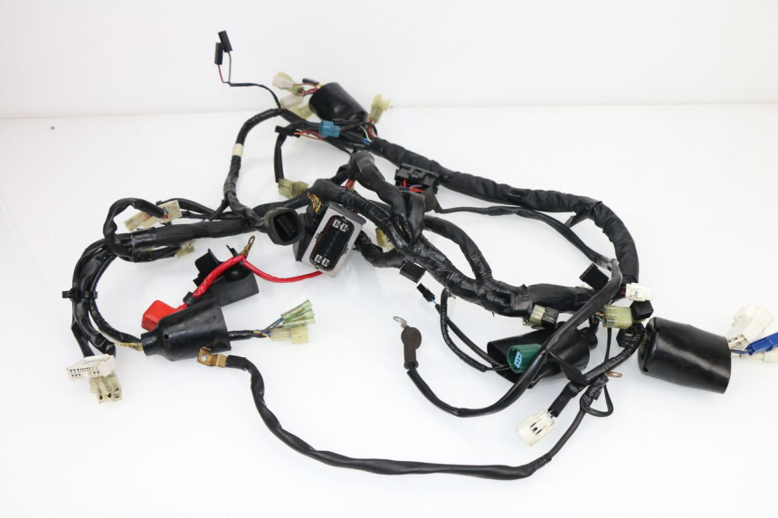 photo de WIRE HARNESS YAMAHA XJ6 ABS 600 (2008 - 2016)