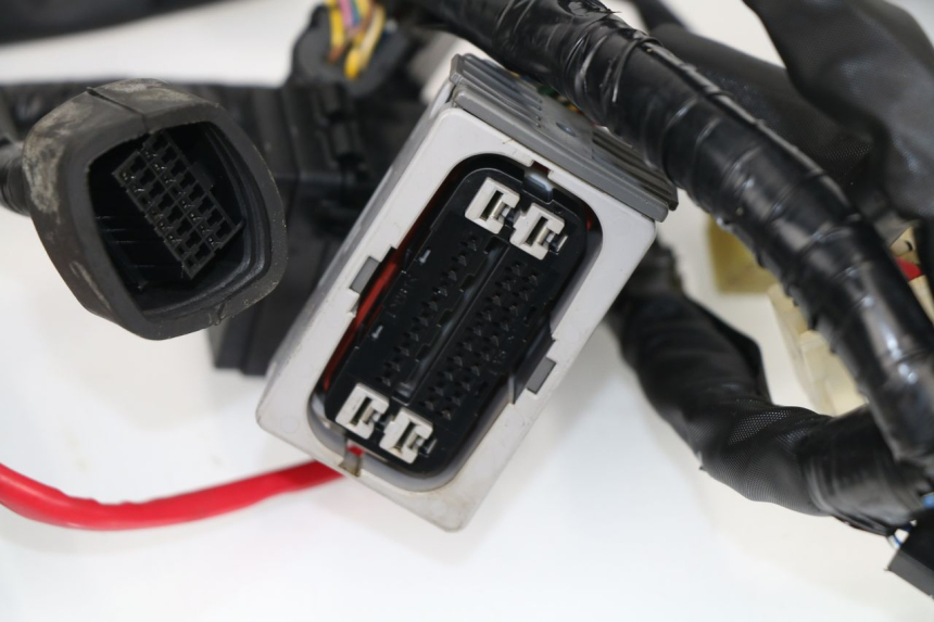 photo de WIRE HARNESS YAMAHA XJ6 ABS 600 (2008 - 2016)