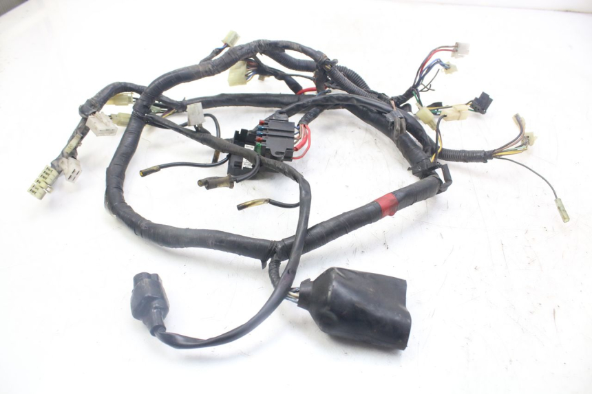 photo de WIRE HARNESS YAMAHA XJN DIVERSION 600 (2000 - 2003)