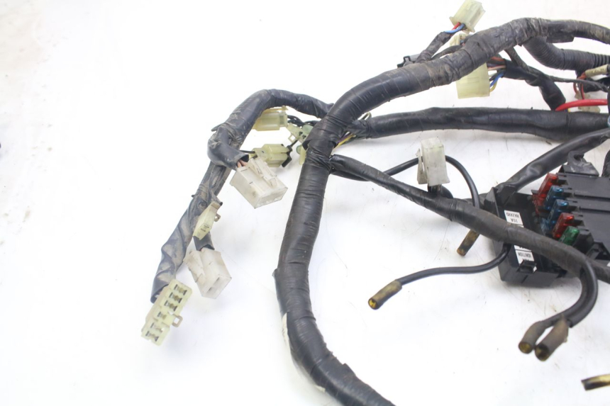 photo de WIRE HARNESS YAMAHA XJN DIVERSION 600 (2000 - 2003)