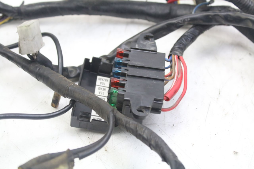 photo de WIRE HARNESS YAMAHA XJN DIVERSION 600 (2000 - 2003)