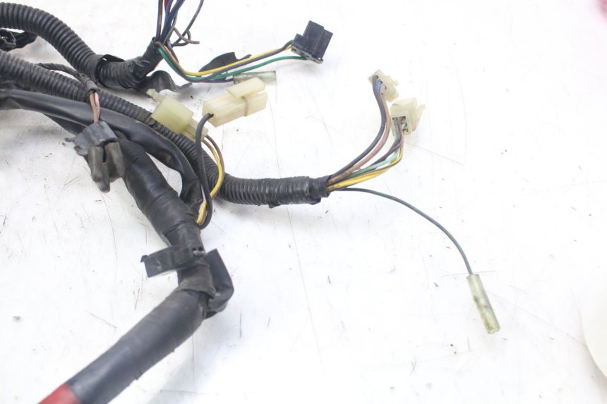 photo de WIRE HARNESS YAMAHA XJN DIVERSION 600 (2000 - 2003)