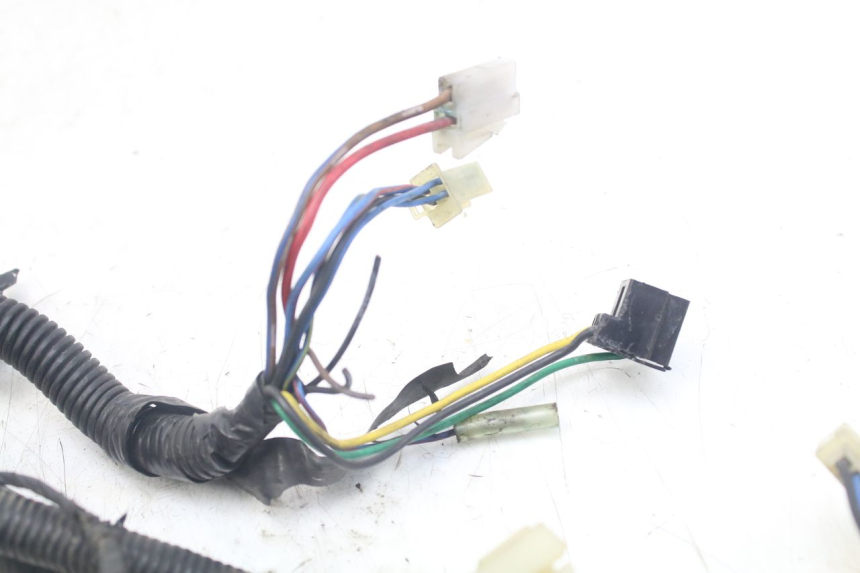 photo de WIRE HARNESS YAMAHA XJN DIVERSION 600 (2000 - 2003)